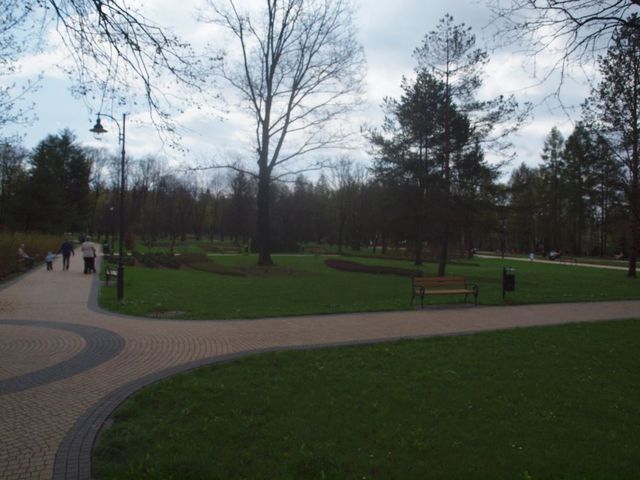 W parku