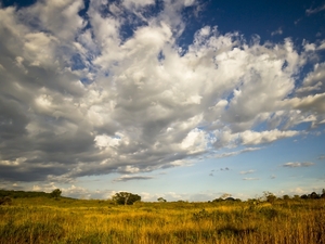 1. Arusha National Park