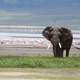 17. Ngorongoro