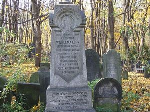 Warszawa - cmentarz żydowski (Wola)