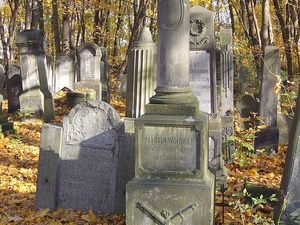 Warszawa - cmentarz żydowski (Wola)
