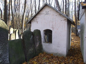 Warszawa - cmentarz żydowski (Wola)