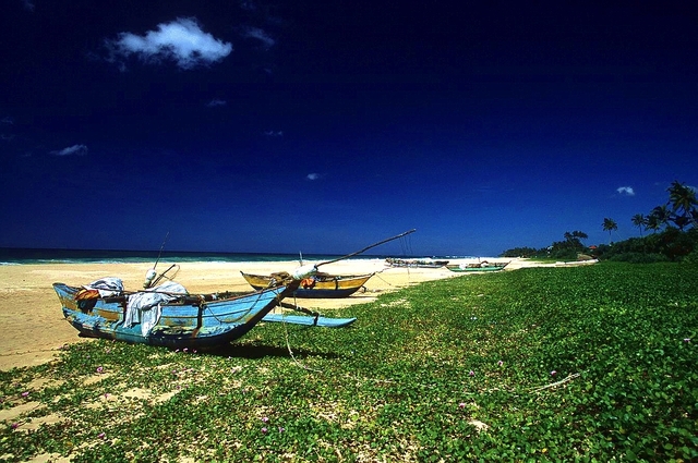 Sri Lanka 9
