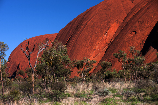 Uluru z bliska