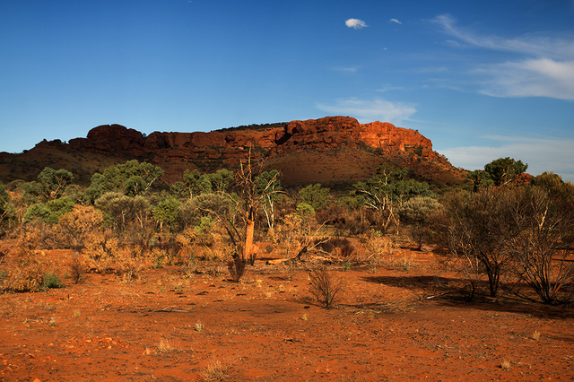 W pobliżu Kings Canyon