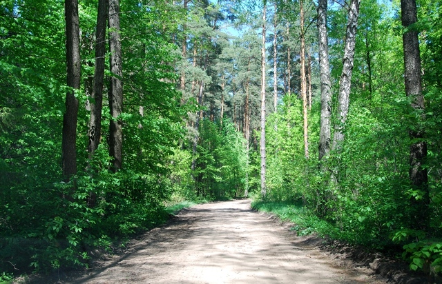 A12