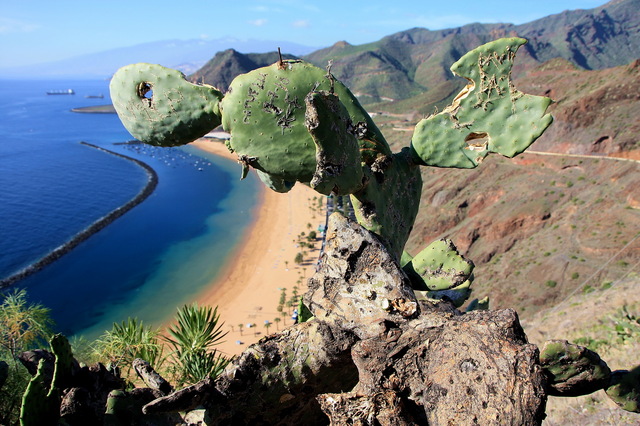 Playa de las Teresitas