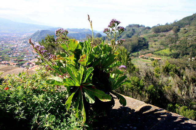 La Laguna widoczna z Mirador de Jardina