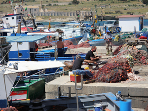 08 port rybacki favignana