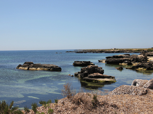 13 favignana