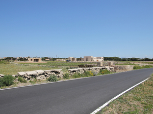 14 favignana