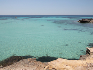 16 favignana