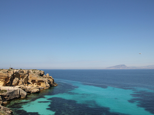 40 favignana bue marino