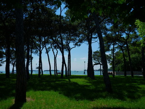 Isola di S.Elena