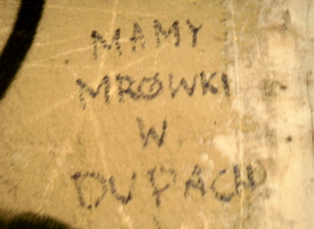 Graffiti - Piotrków Trybunalski