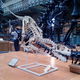 Muzeum Paleontologii