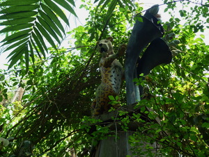 13932214 - Bodelva Eden Project