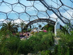 13932236 - Bodelva Eden Project