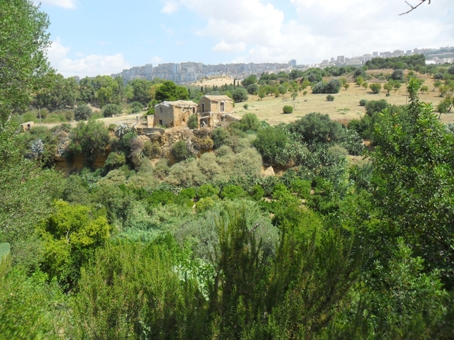 Ogrody Kolymbetra, w oddali Agrigento