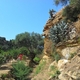 Agrigento, ogrody Kolymbetra w Dolinie Świątyń