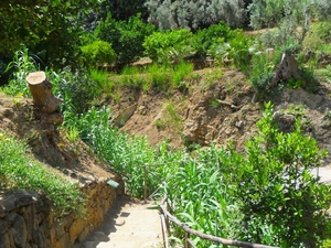 Ogrody Kolymbetra