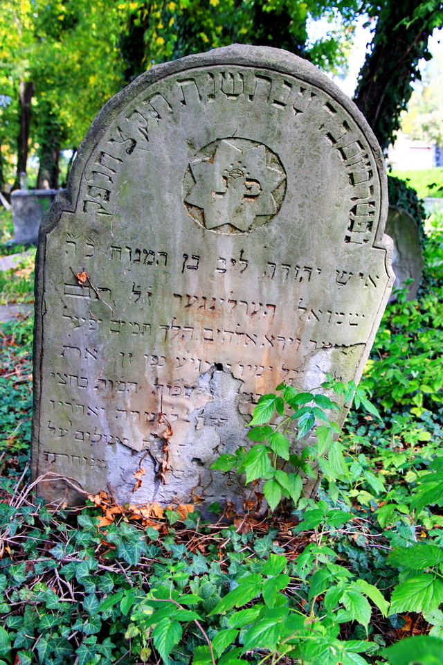 stary cmentarz żydowski (kirkut)