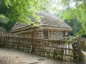 Sanok