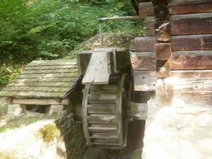 Sanok