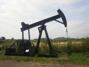 Sanok