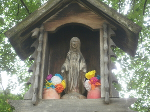 Sanok