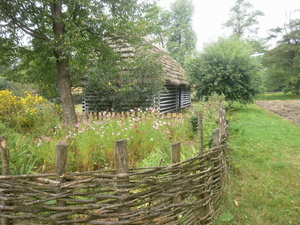 Sanok