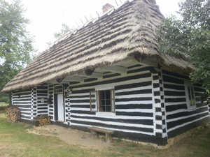 Sanok