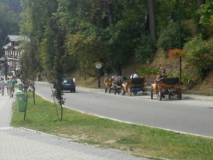 Szczawnica