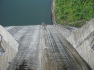 Solina