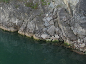 Solina