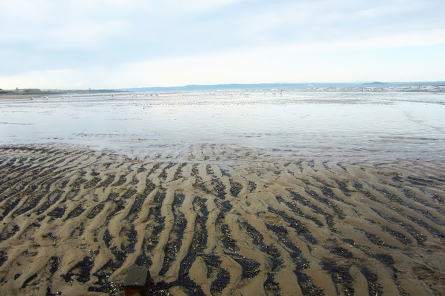 Portobello Beach, Edynburg