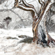 Eukaliptusy pod śniegiem