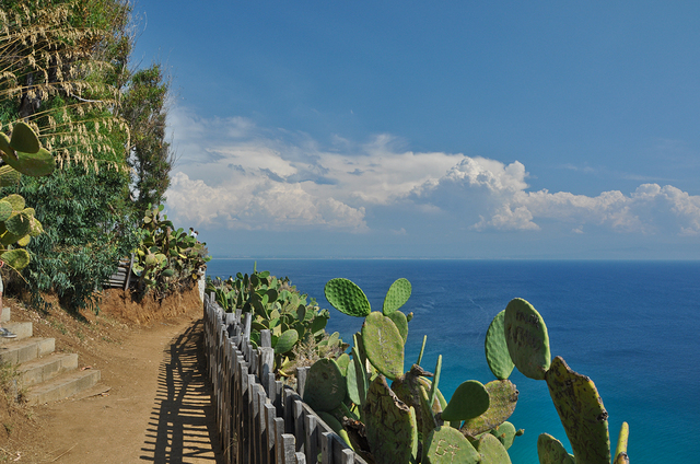 Capo Vaticano