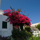 Wyspa Stromboli