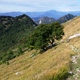 Monte Pizzocolo 16