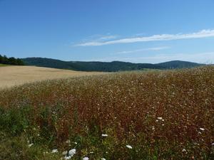 Beskid Niski