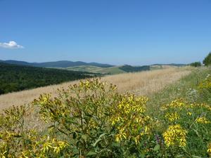 Beskid Niski