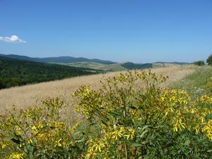 Beskid Niski