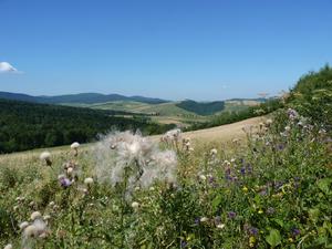 Beskid Niski