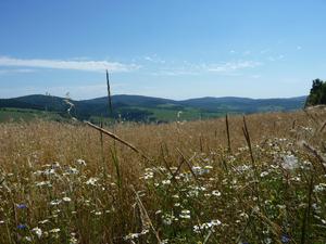 Beskid Niski