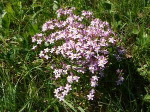 Beskid Niski