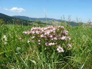 Beskid Niski