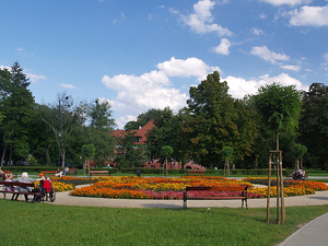 Park Majkowskiego.