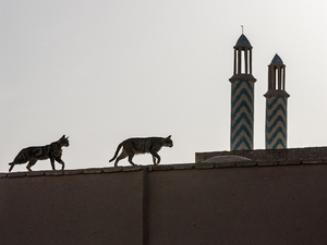 Uliczki starego Yazd