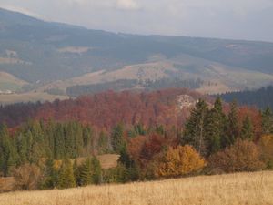 W kierunku Wąwozu Homole  